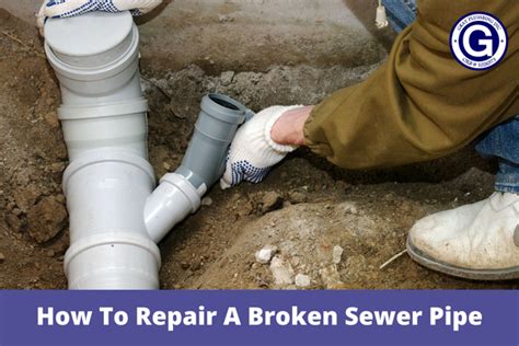 sewer leak in yard|7 Signs of A Broken Sewer Pipe and How to Fix It